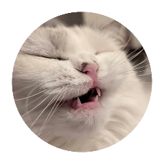 shelly.m_20260423213503