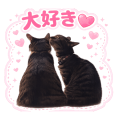 matton_20260423215155