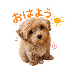 tokotokomommy_20260423205521