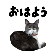 ndtyu_20260423215332