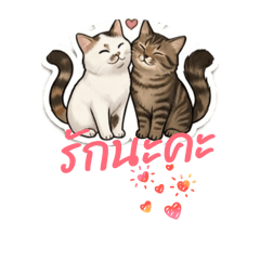 Nu_Oil_20260423224411