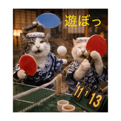 hofner7_20260423213409