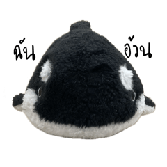 This Orca is named Octopus
