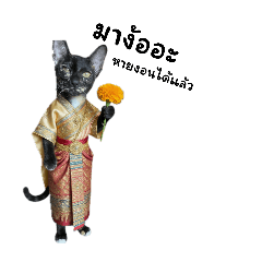 Biw Wariya_20260423230412