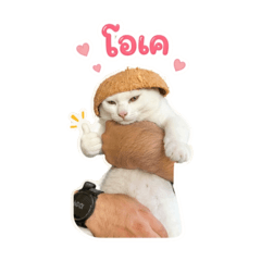 Wila22_20260423232114