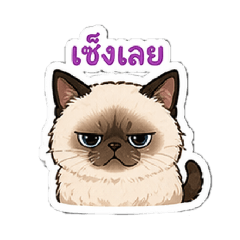 Fuji kawaii._20260423223909