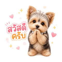 Cute Puppy Daily Emotions