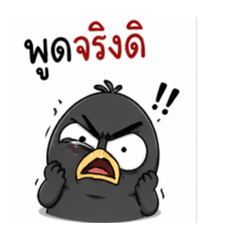 Tanapat_20260424005653