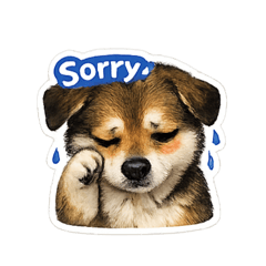 Namtannnn_20260424014614