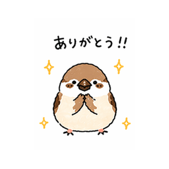 Supi the Sparrow Stickers