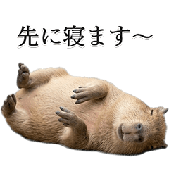 Family Messages with Capybara