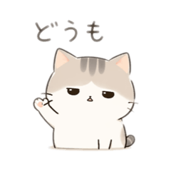 Slightly Salty Cat