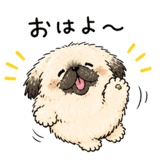 Fluffy Mess Pekingese Daily Stickers
