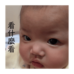 可愛的小彤彤蛇寶寶