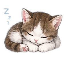 nattaphong_20260424065714