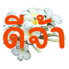 Puntira Chotinok_20260424065105