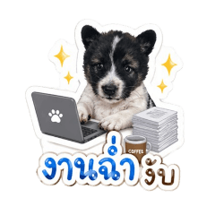 waraporn_20260424073925