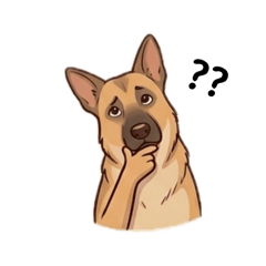Everyday Dog by Mommam