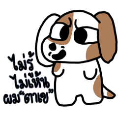 Kanya pop_20260424104318