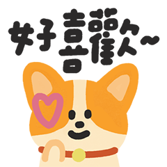 柯基是最萌的實習生