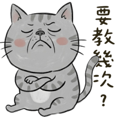 我貓啦：公司裡那個老油條 大貼圖