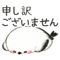 Shimaenaga Apologies for Work