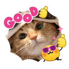 Haruka_20260423213739