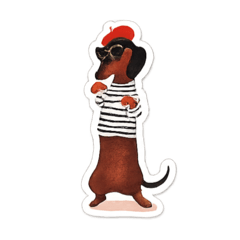 Cute Dachshund Moments