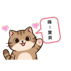 NiNi貓咪