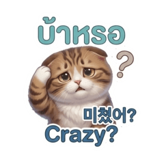 Thai-Korean_20260424120832