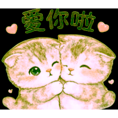 可愛的摺耳貓，情侶互動02