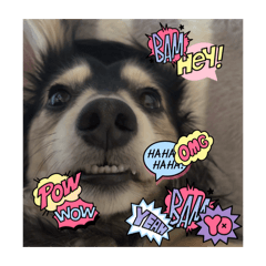 tmrmnm_20260424014829