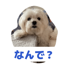 Maruyama_20260424015205