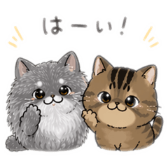 My Cat: Daily Life Stickers