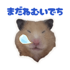 Chimari_20260424020415