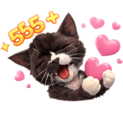 Pakaikaew khunhiran_20260424113006