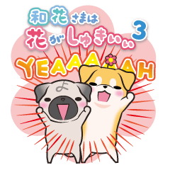 和花さまは花がしゅきぃぃ３