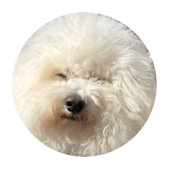 MIEOBA_20260424072657