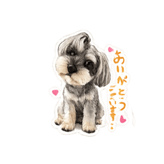 TOMOMI_20260424073758