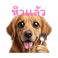 Dogplease_20260424120122