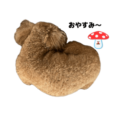 Michi_20260424085256