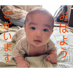 torii_20260424084421