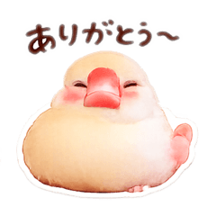 Kinako_20260424084807