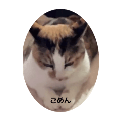 ayuyuyu_20260424091626