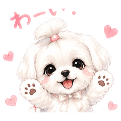 COCOWING_20260424092152