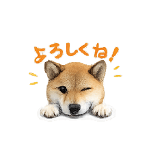 Hiyorin_20260424093323