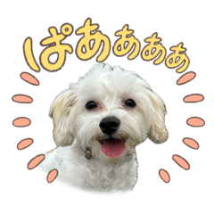 a.noriko_20260424120513