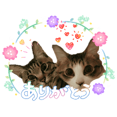 kyuri21_20260424121446