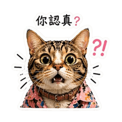 Daily dose of cat. office ver. 1