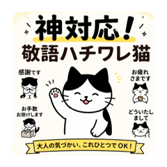 odayakamaigo_20260424023116